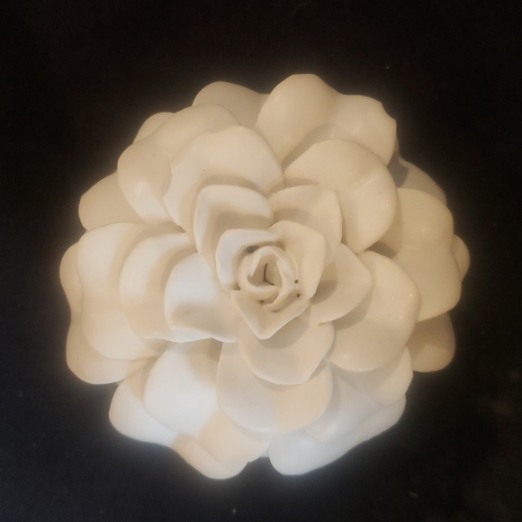 ❤️BUY 2 GET 1 FREE  Citrus Crush Ceramic Flower Candle, Vegan, Plant base - Picture 4 of 5